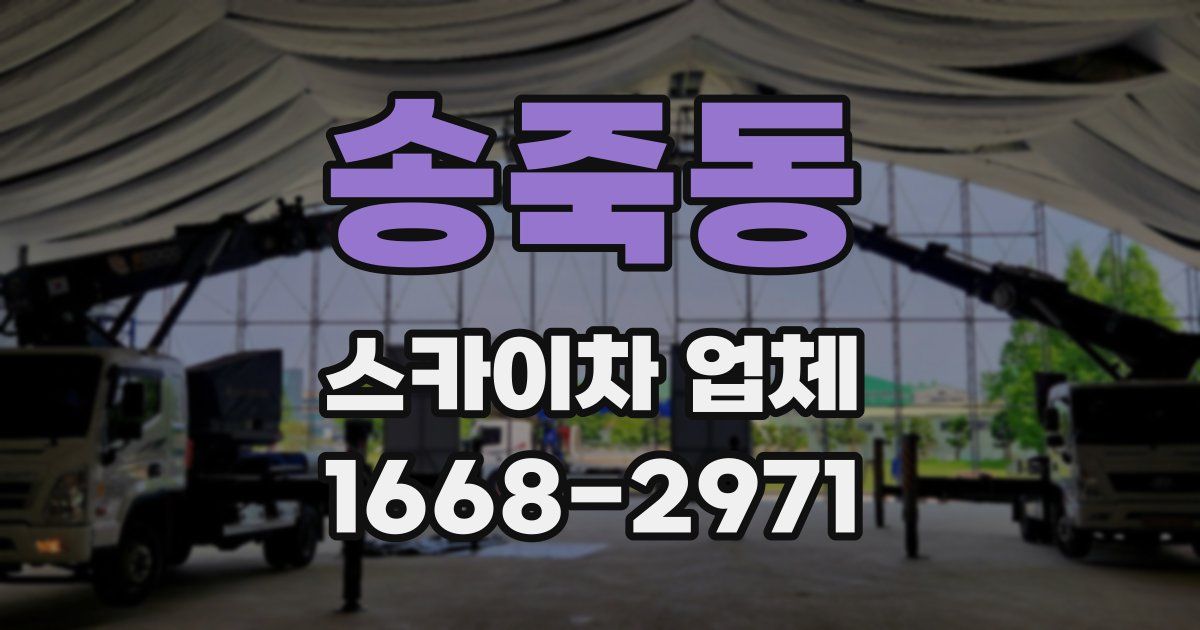 송죽동 스카이차 업체