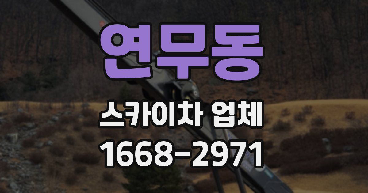 연무동 스카이차 업체