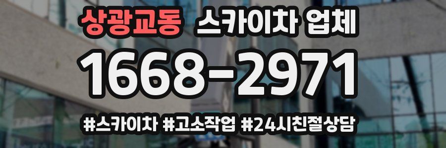 상광교동 스카이차 업체