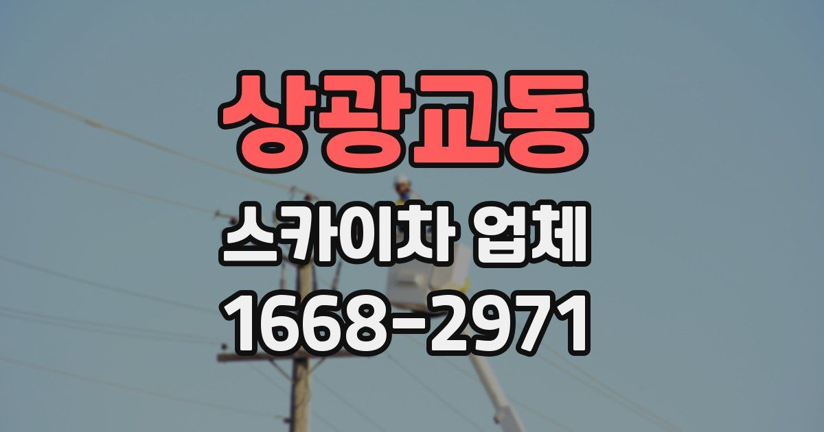 상광교동 스카이차 업체