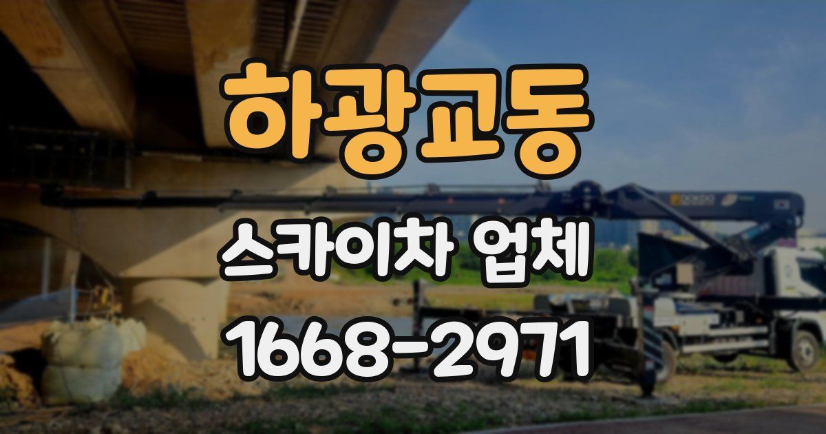 하광교동 스카이차 업체