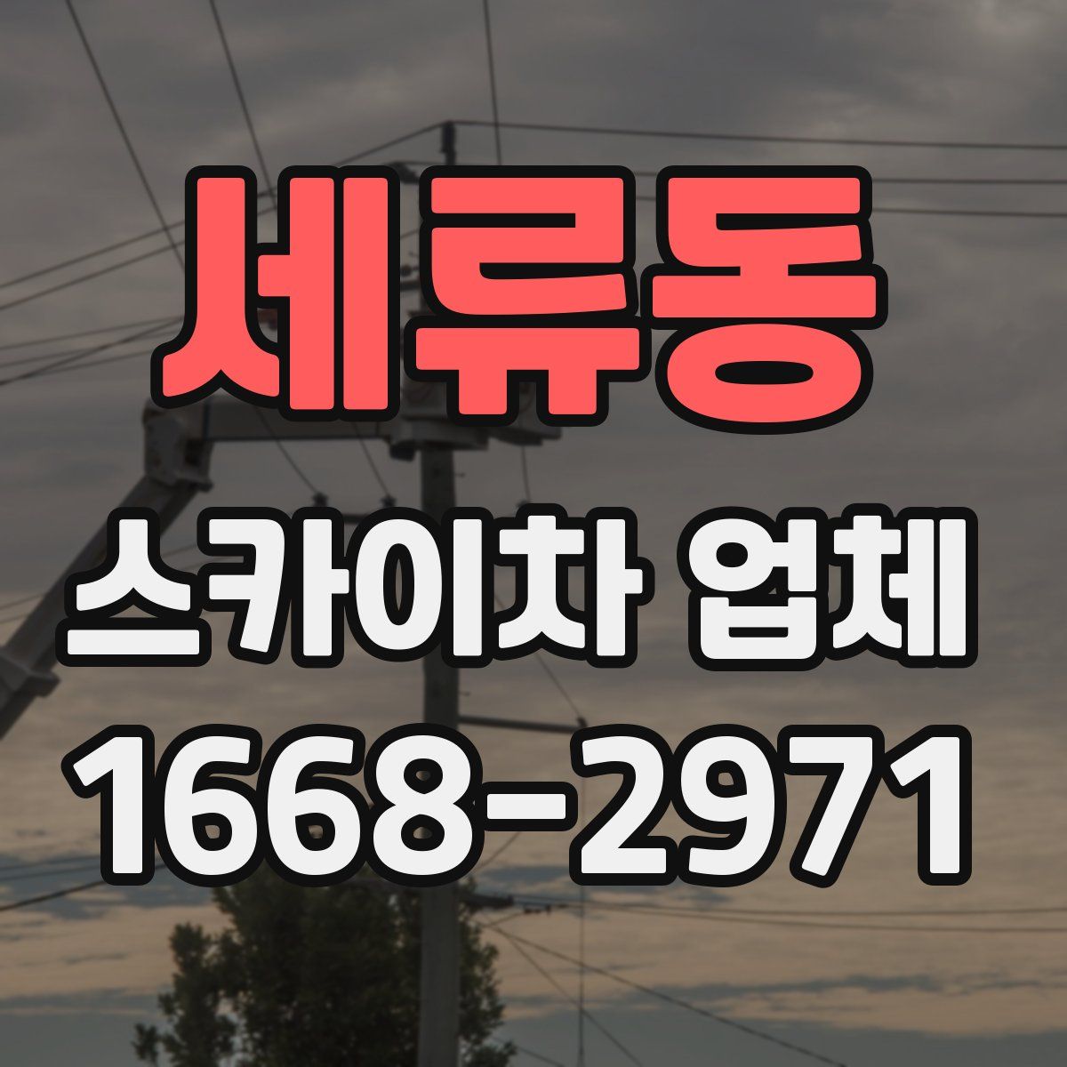 세류동 스카이차 업체