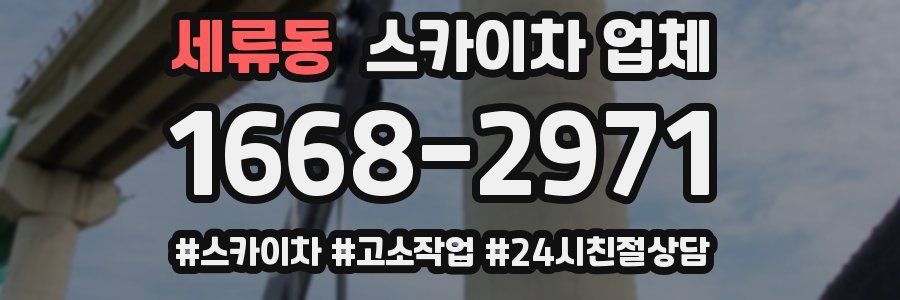 세류동 스카이차 업체