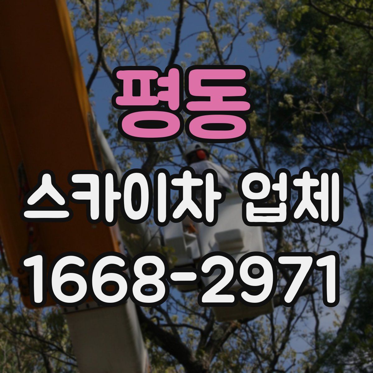 평동 스카이차 업체