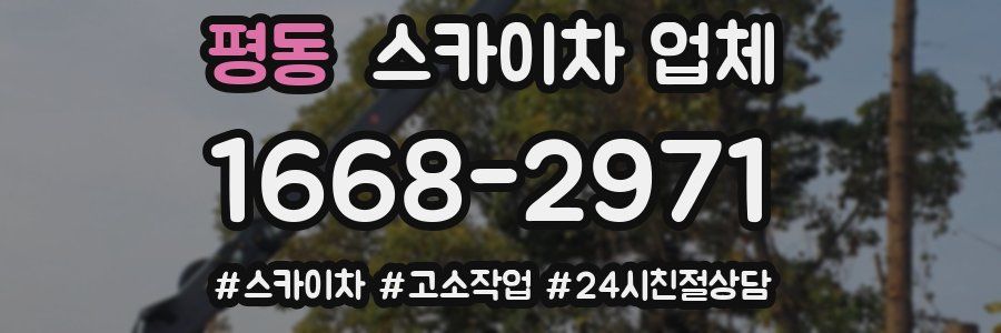 평동 스카이차 업체