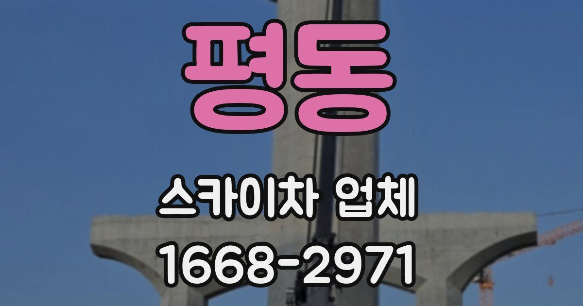 평동 스카이차 업체