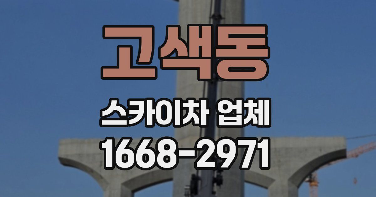 고색동 스카이차 업체