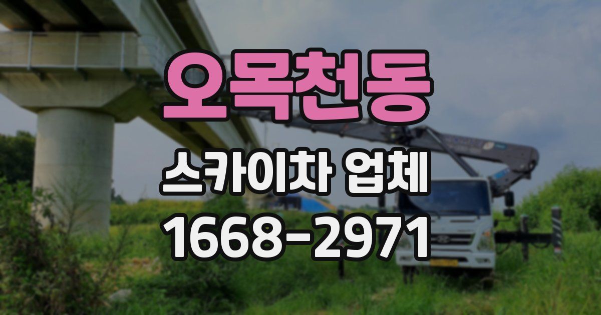 오목천동 스카이차 업체