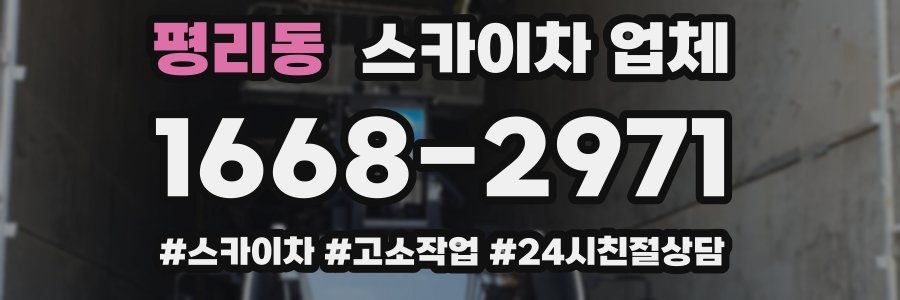 평리동 스카이차 업체