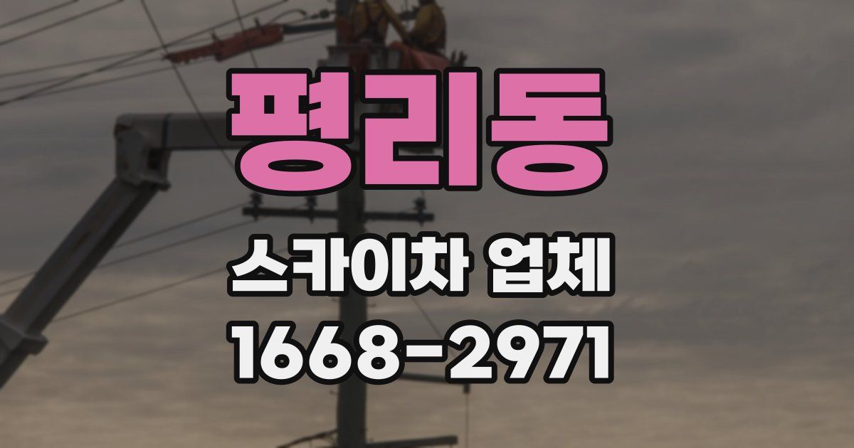 평리동 스카이차 업체