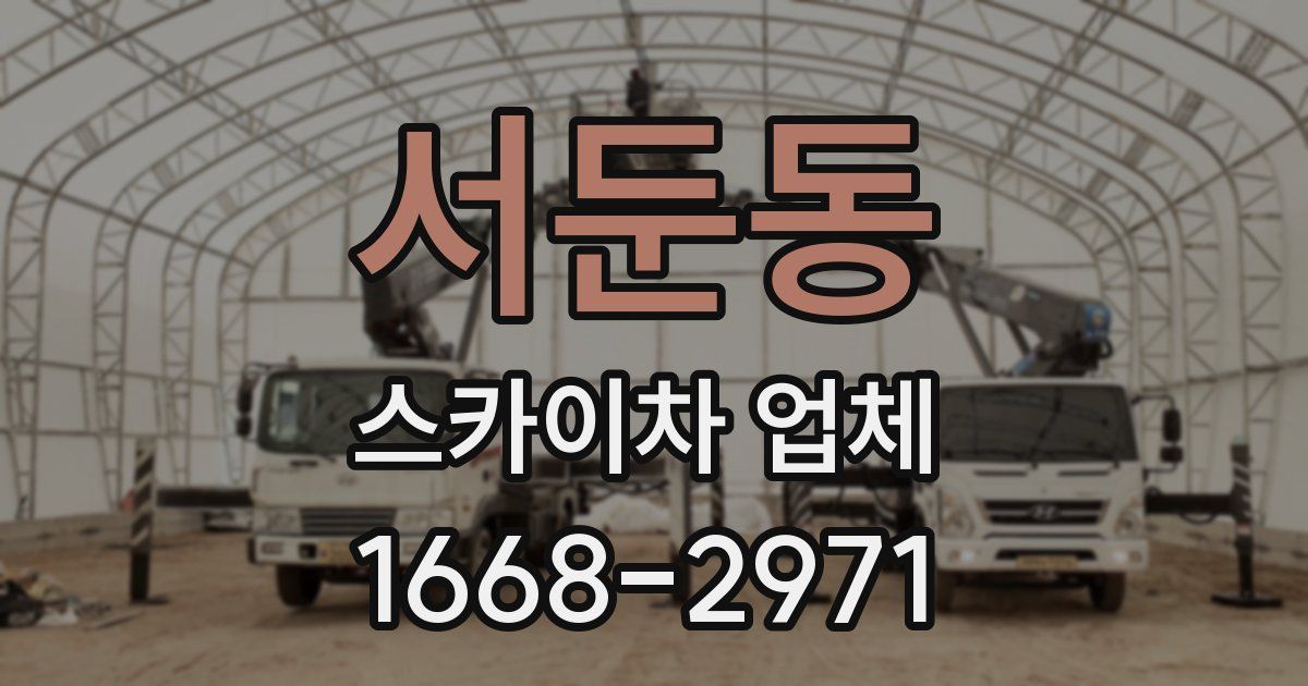 서둔동 스카이차 업체