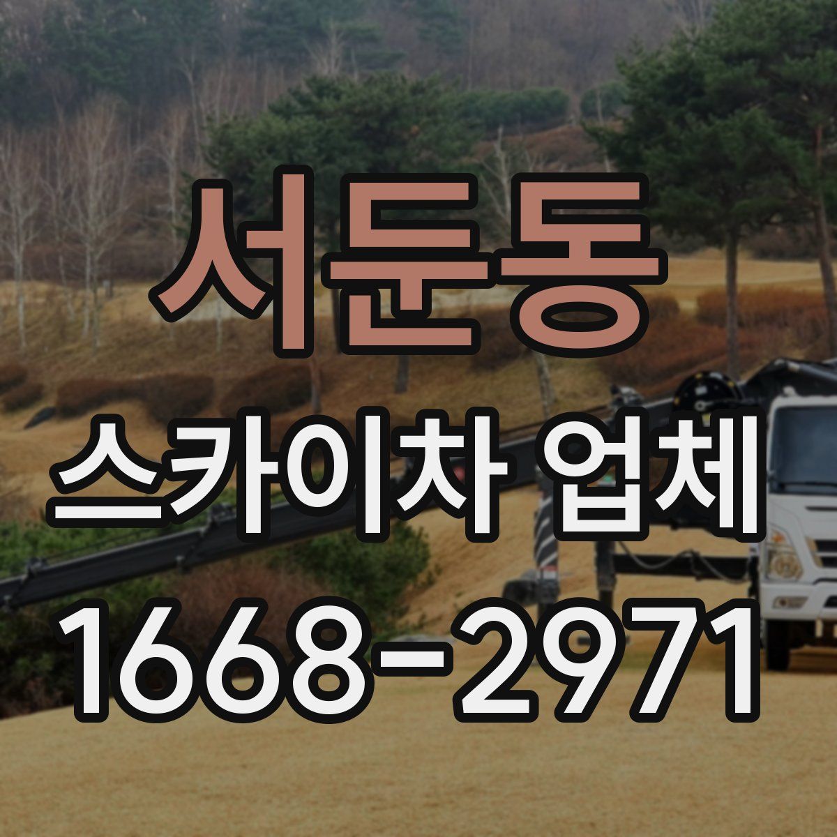 서둔동 스카이차 업체