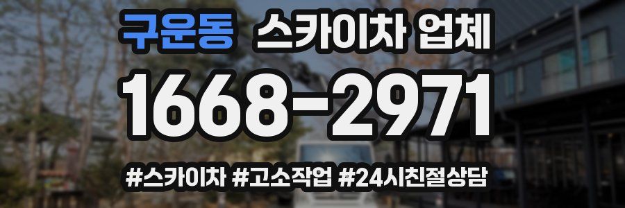 구운동 스카이차 업체