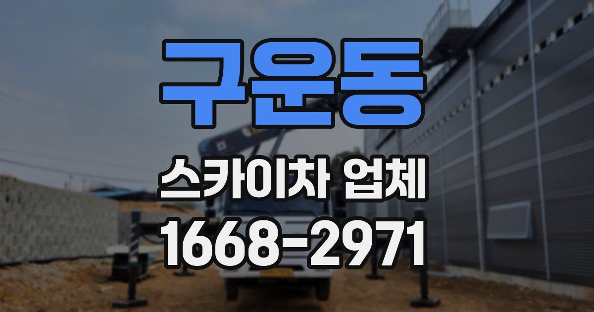 구운동 스카이차 업체