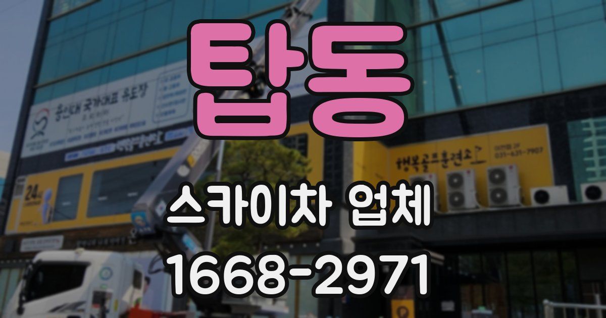 탑동 스카이차 업체