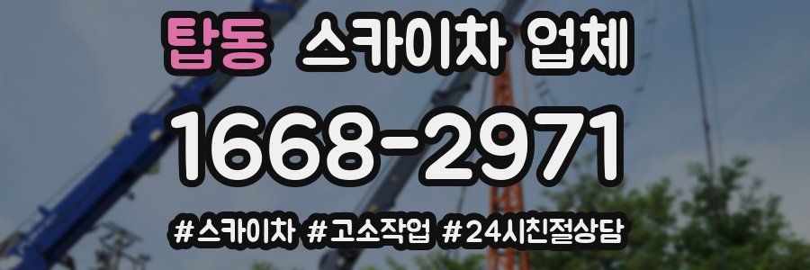 탑동 스카이차 업체