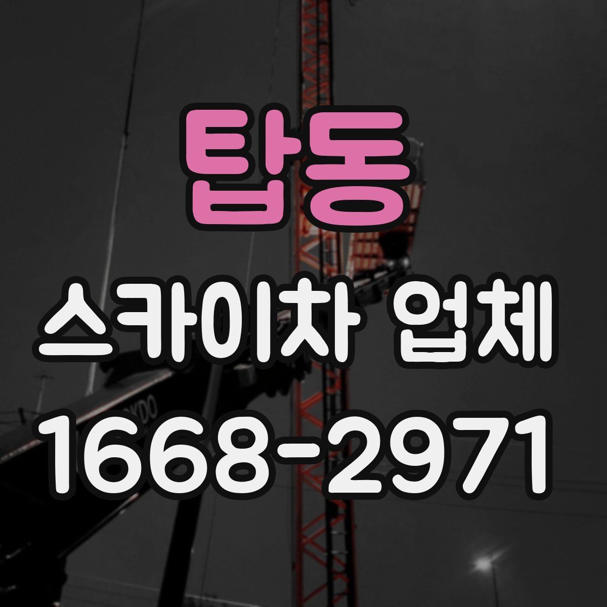 탑동 스카이차 업체