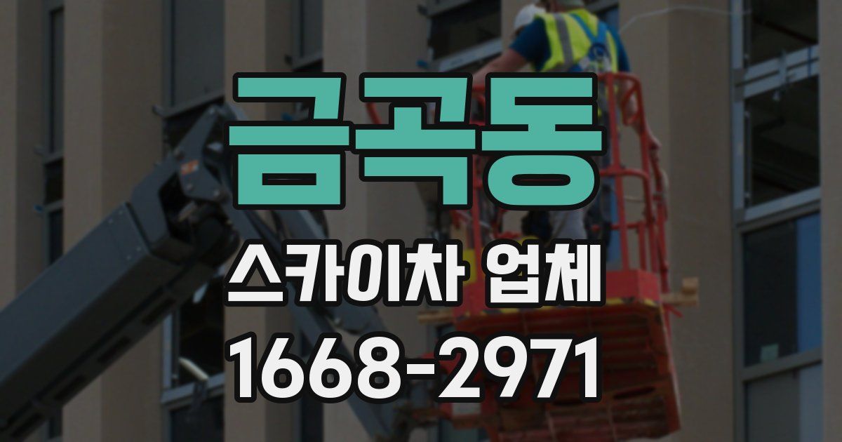 금곡동 스카이차 업체