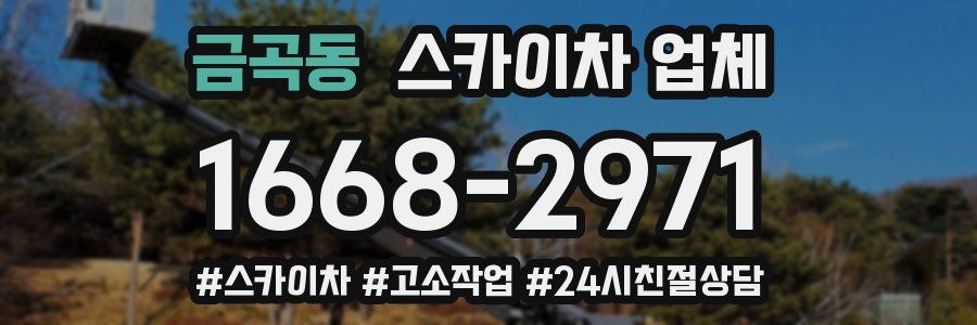 금곡동 스카이차 업체