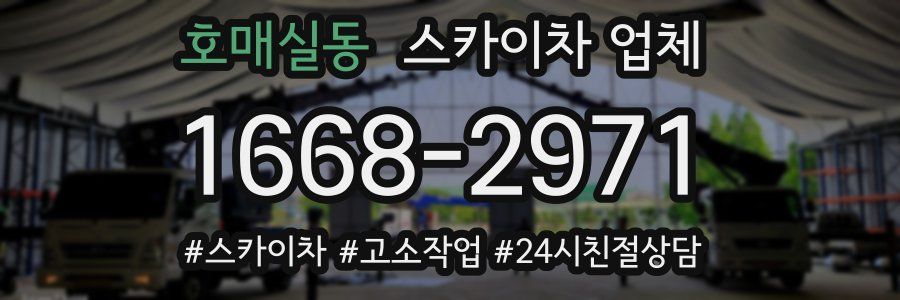 호매실동 스카이차 업체