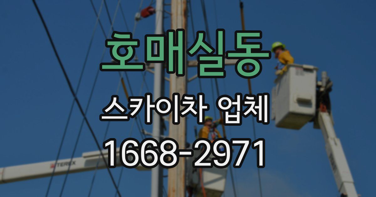 호매실동 스카이차 업체