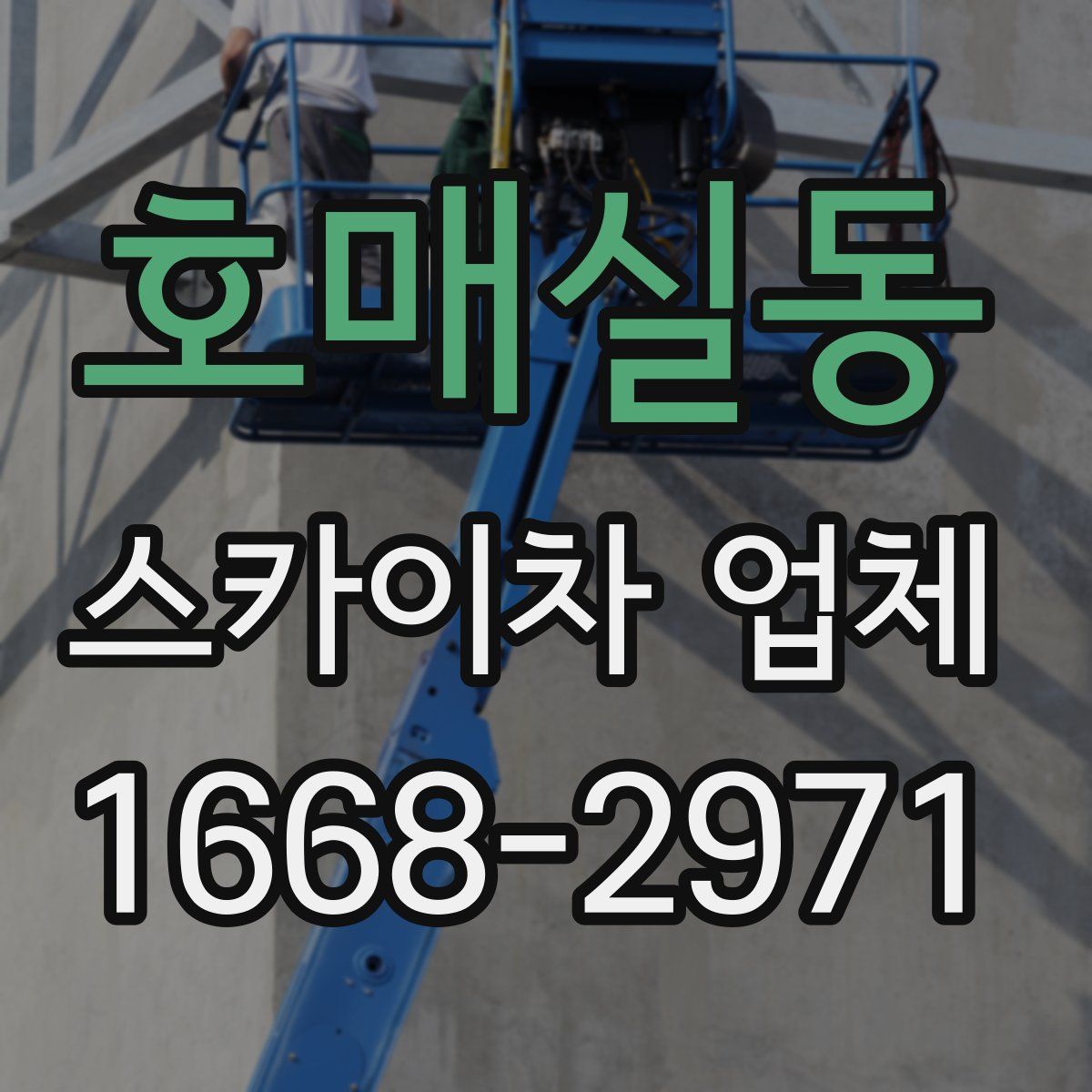 호매실동 스카이차 업체