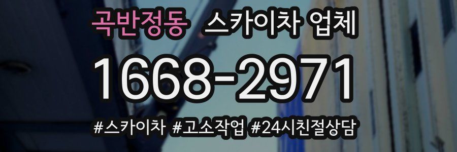 곡반정동 스카이차 업체