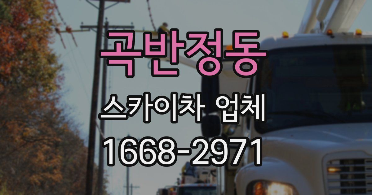 곡반정동 스카이차 업체