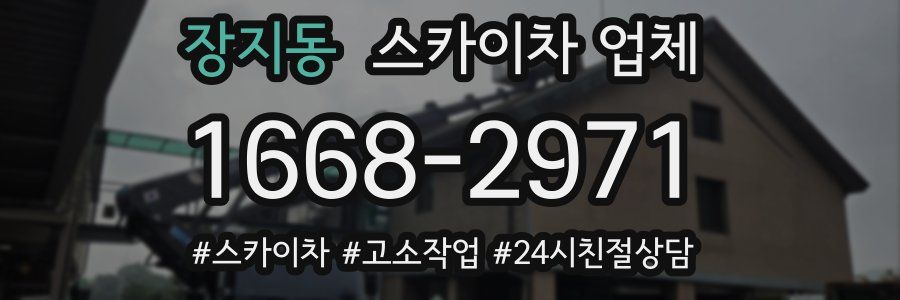 장지동 스카이차 업체