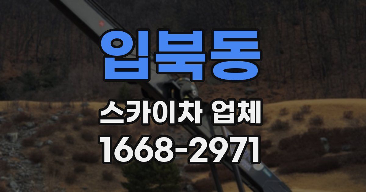 입북동 스카이차 업체