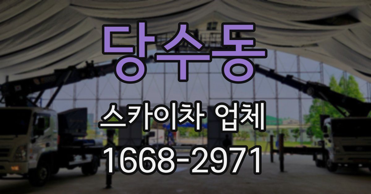 당수동 스카이차 업체