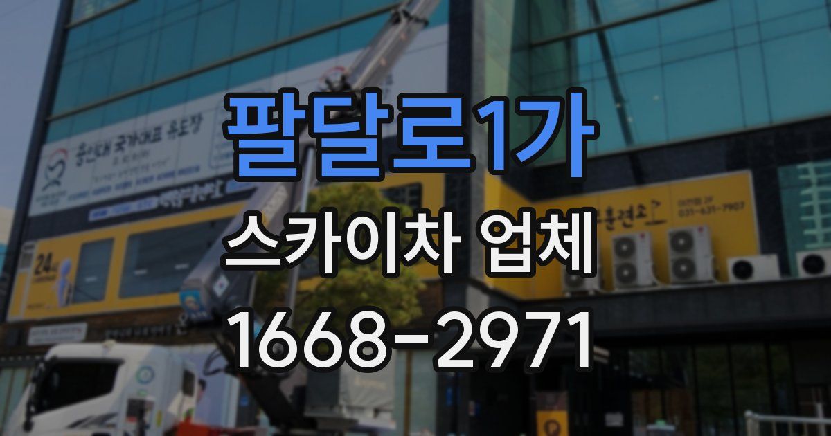 팔달로1가 스카이차 업체