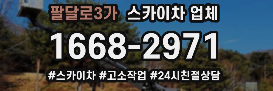 팔달로3가 스카이차 업체
