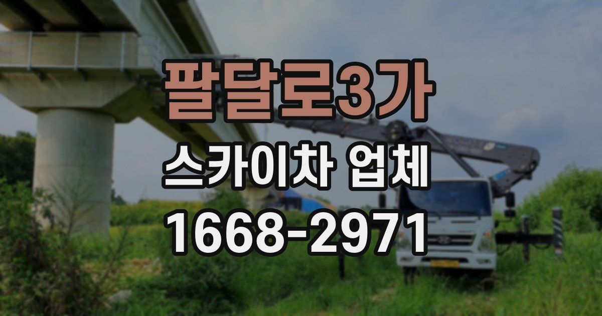 팔달로3가 스카이차 업체