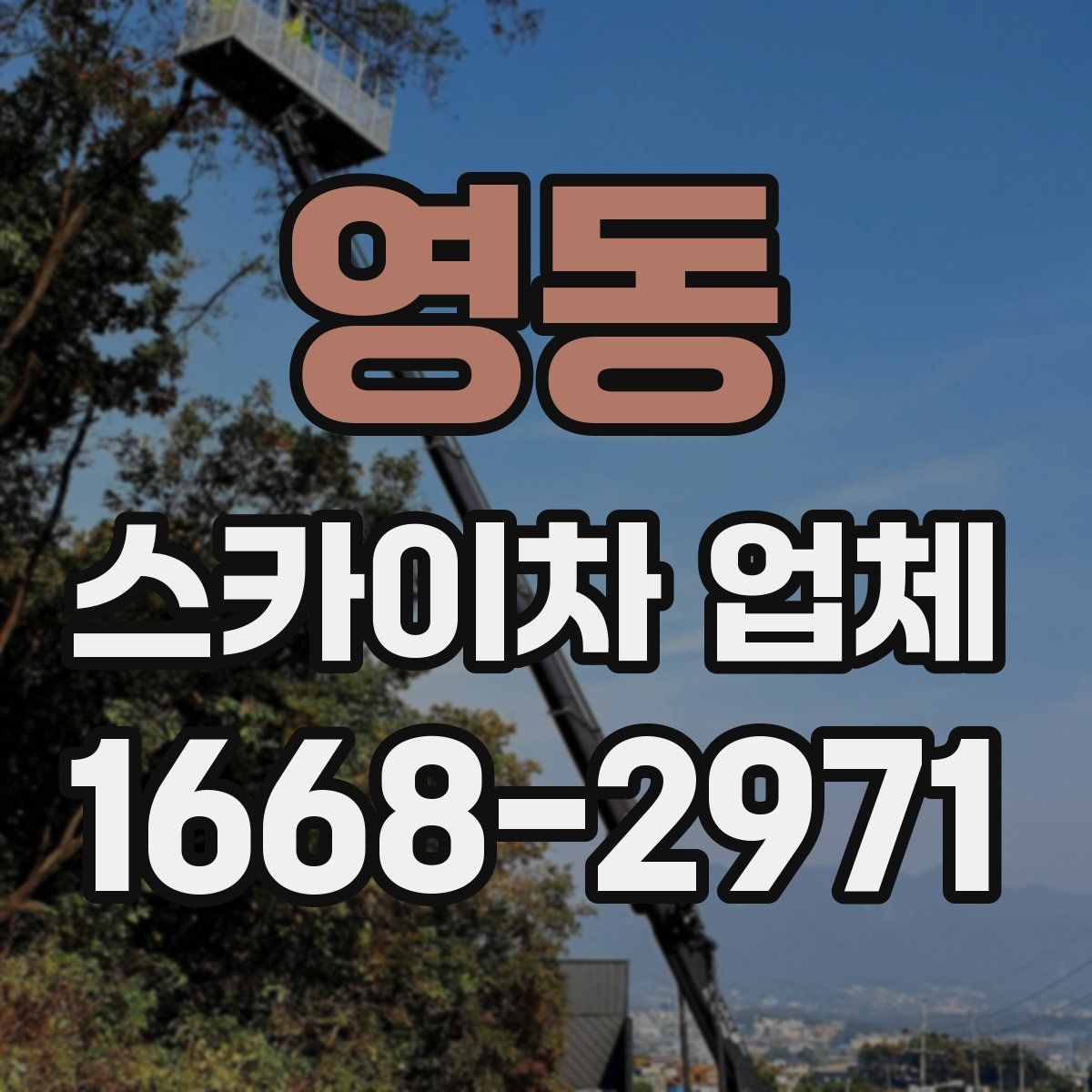 영동 스카이차 업체