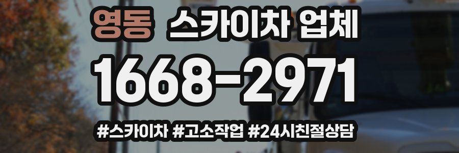 영동 스카이차 업체