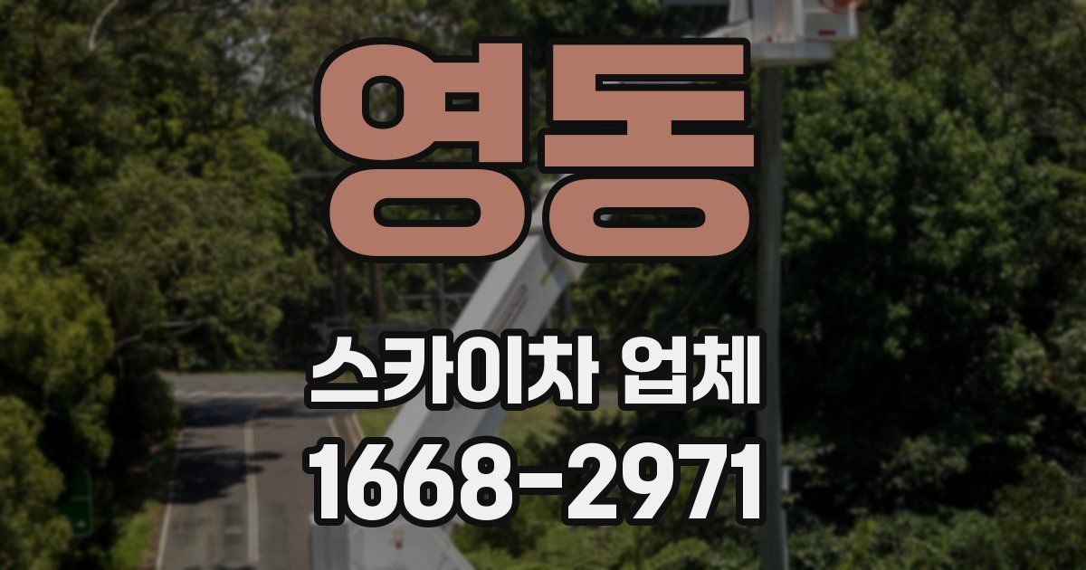 영동 스카이차 업체