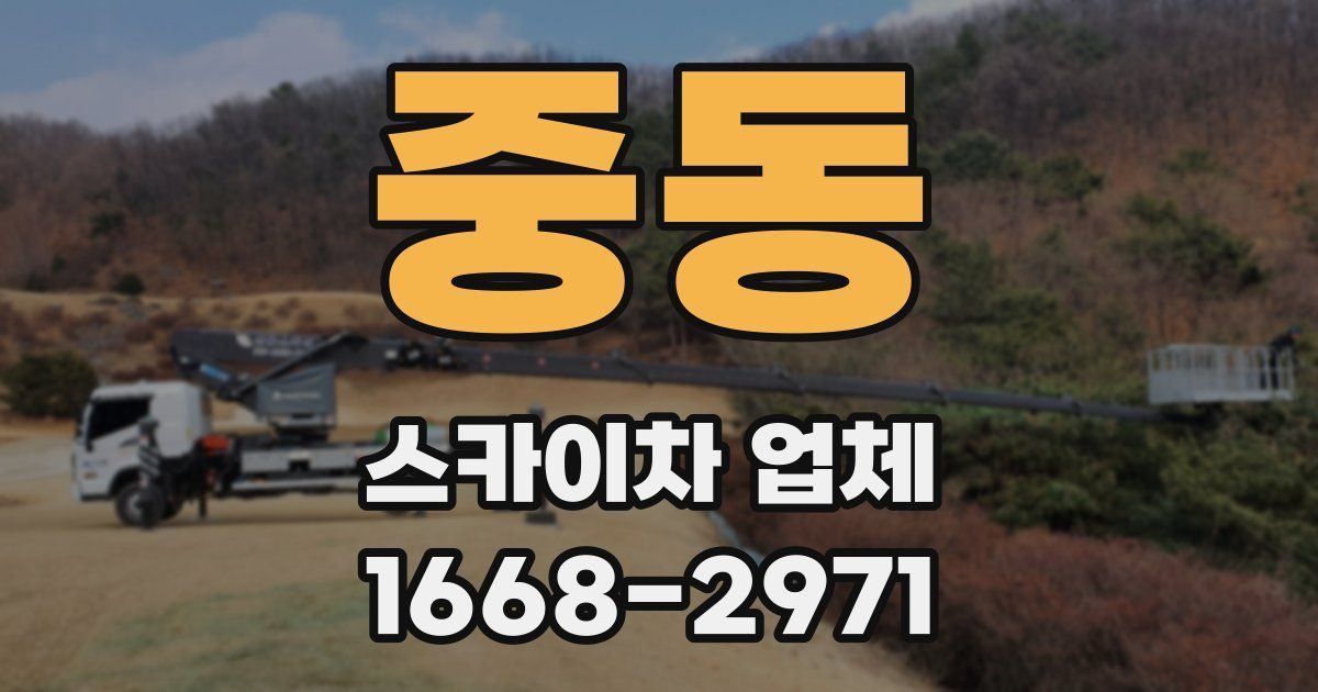 중동 스카이차 업체