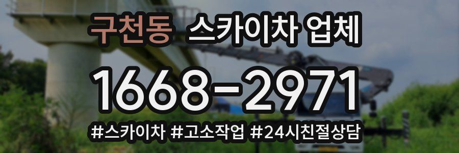 구천동 스카이차 업체