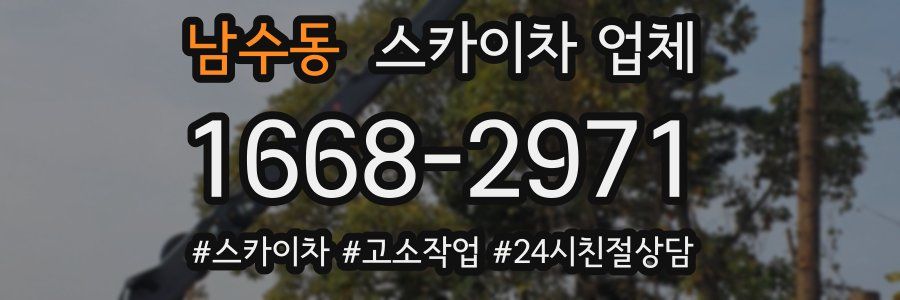 남수동 스카이차 업체