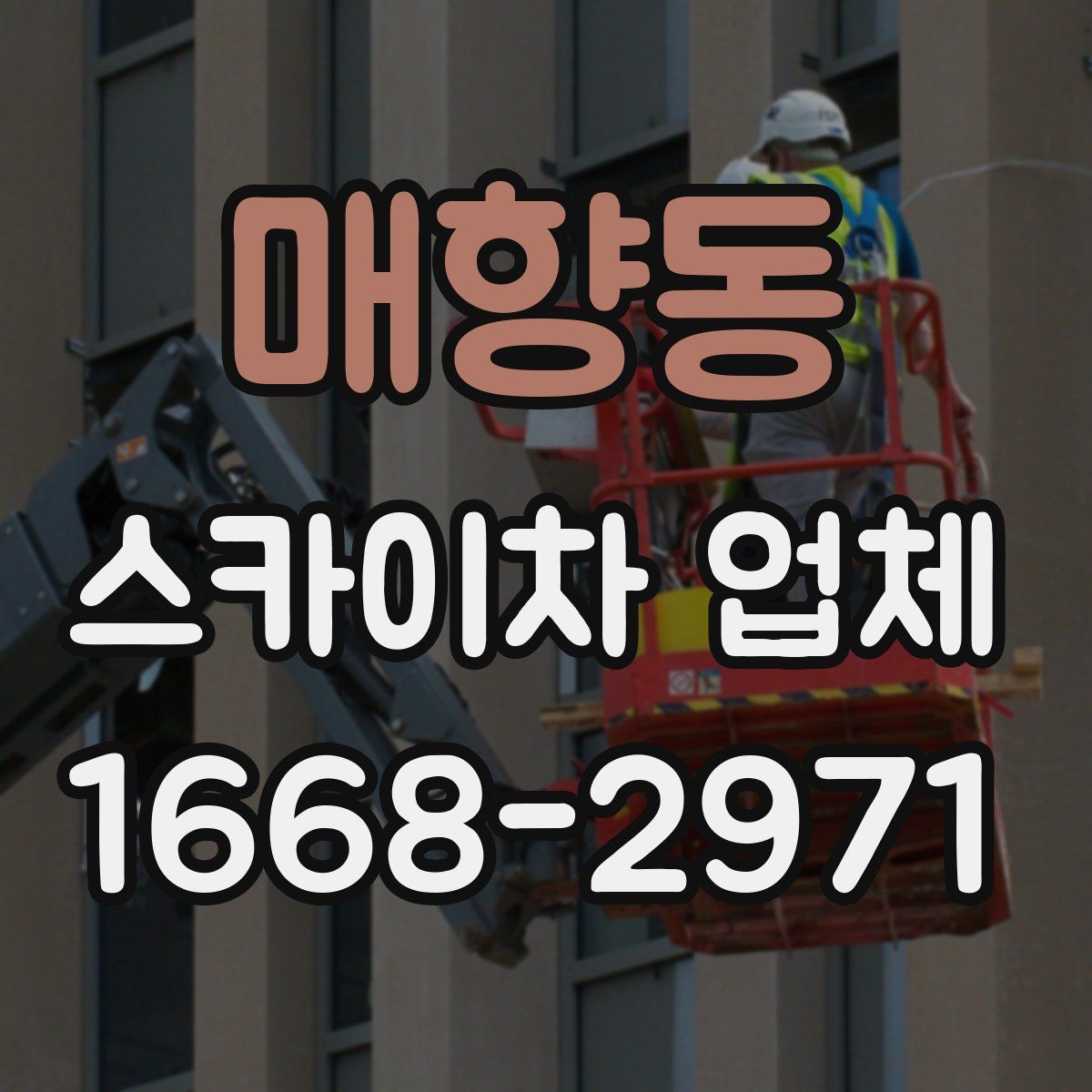 매향동 스카이차 업체