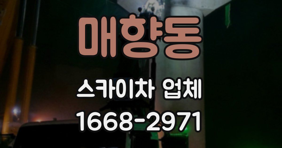 매향동 스카이차 업체