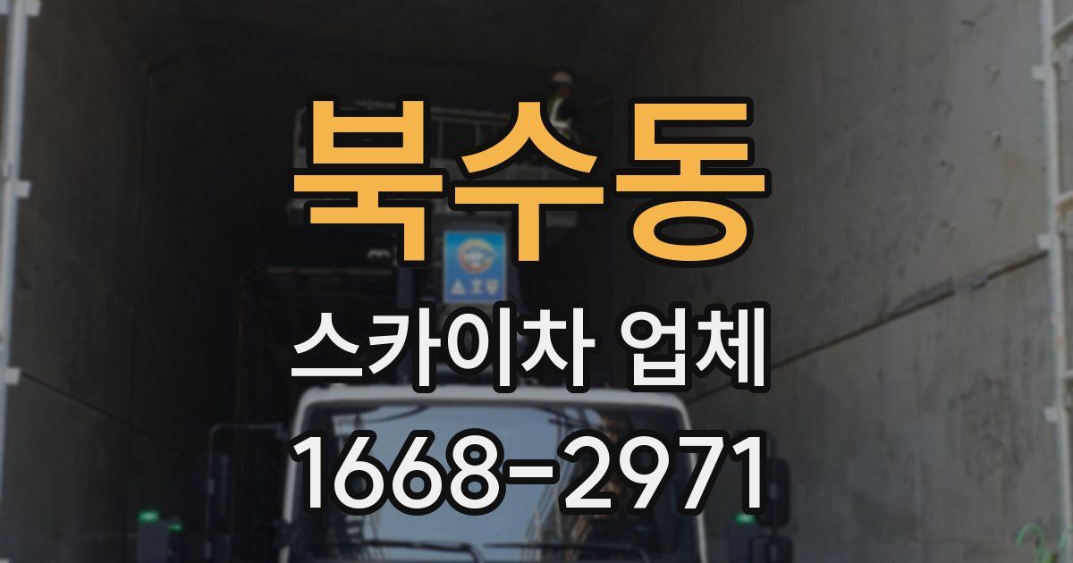 북수동 스카이차 업체