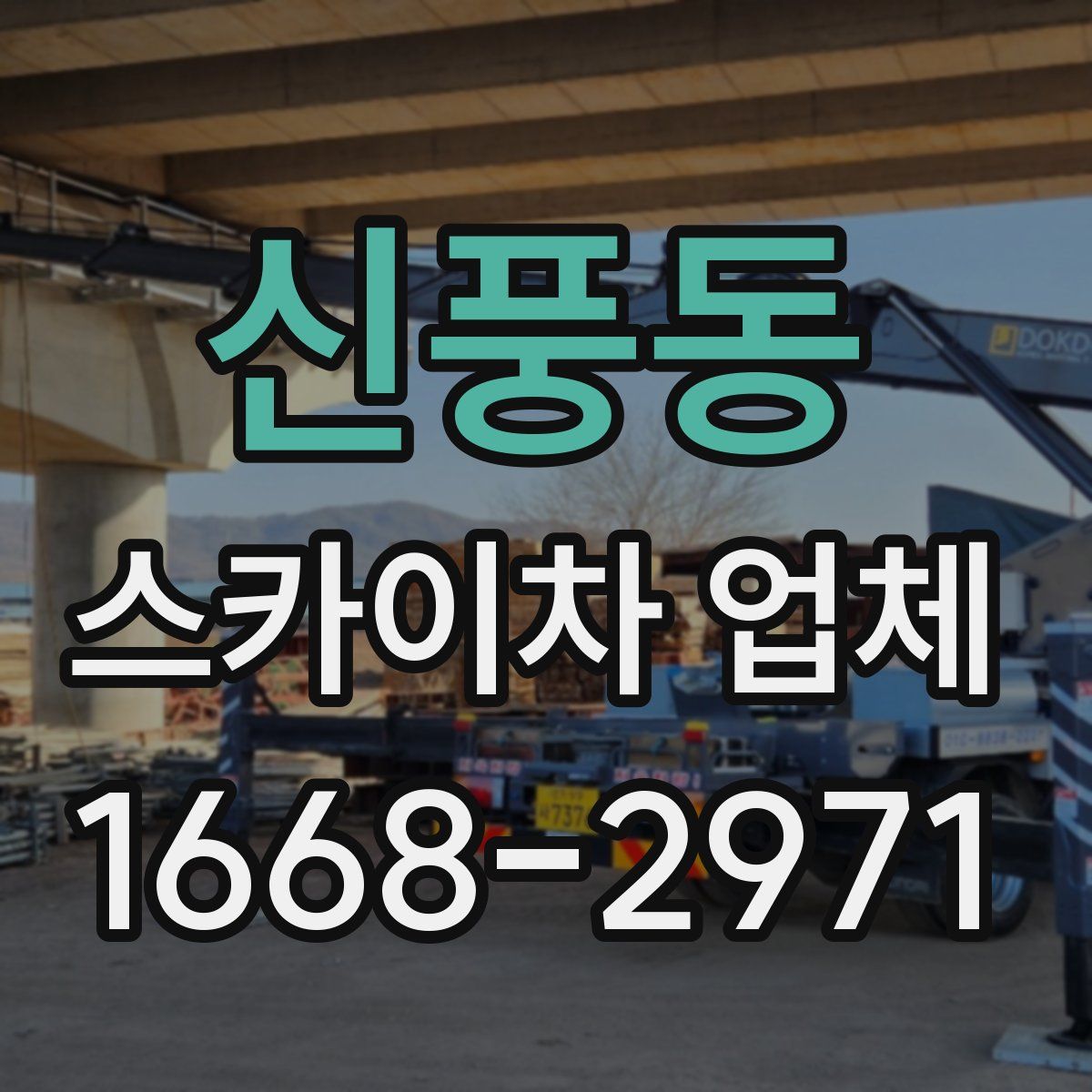 신풍동 스카이차 업체