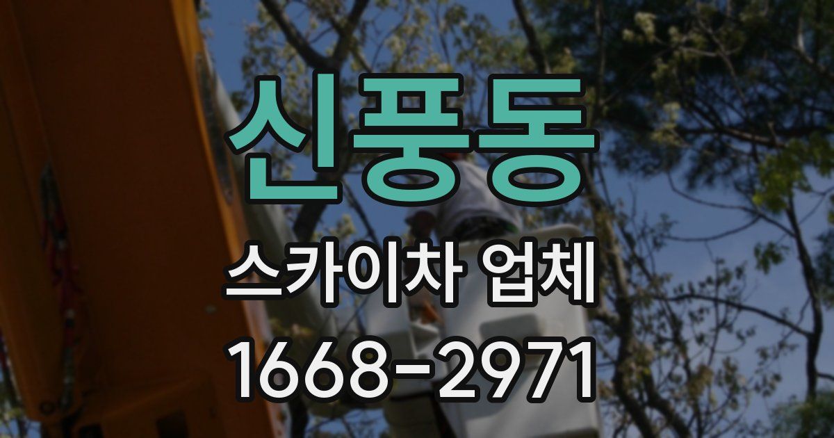신풍동 스카이차 업체