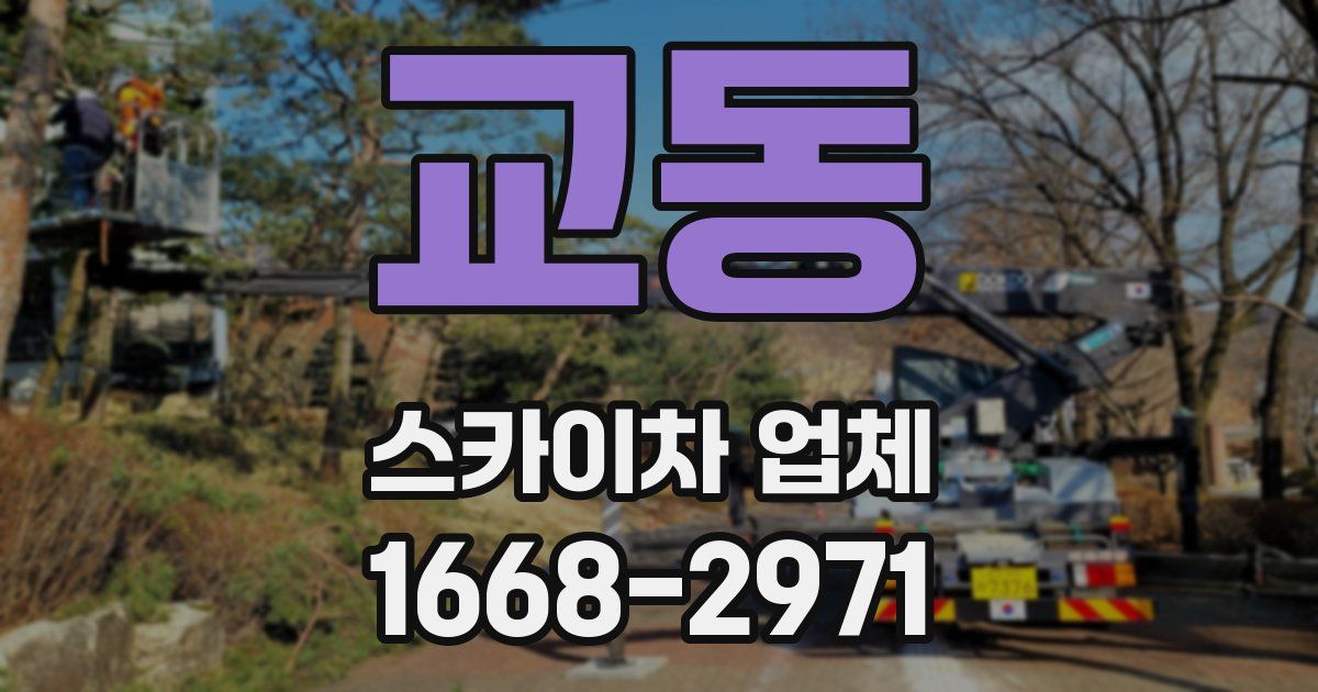 교동 스카이차 업체