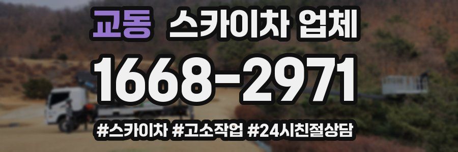 교동 스카이차 업체