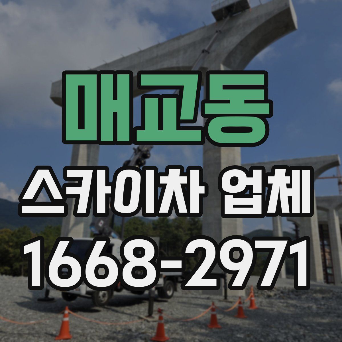 매교동 스카이차 업체