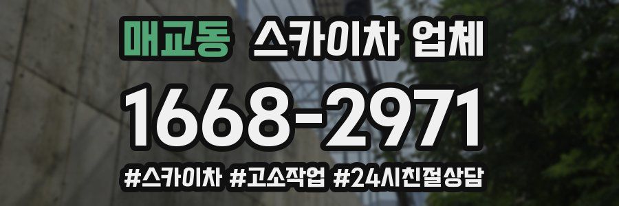 매교동 스카이차 업체