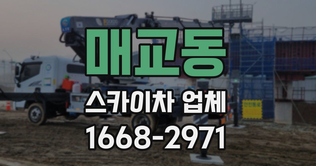 매교동 스카이차 업체